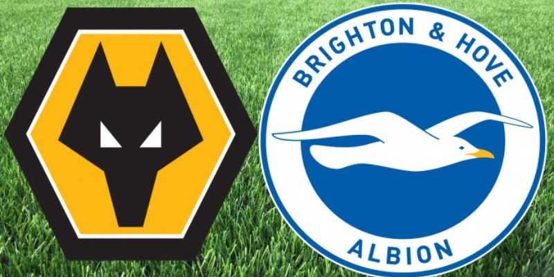 Wolverhampton Wanderers vs Brighton & Hove Albion